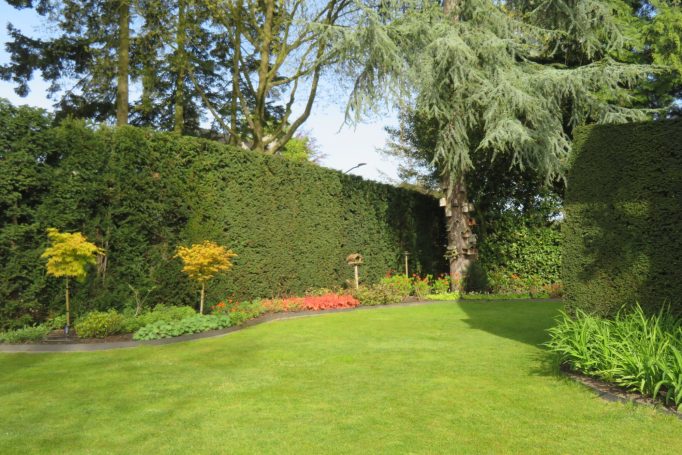 Stijlvolle tuin in oranje, rood- en geeltinten. ©2026 A. Berkenveld