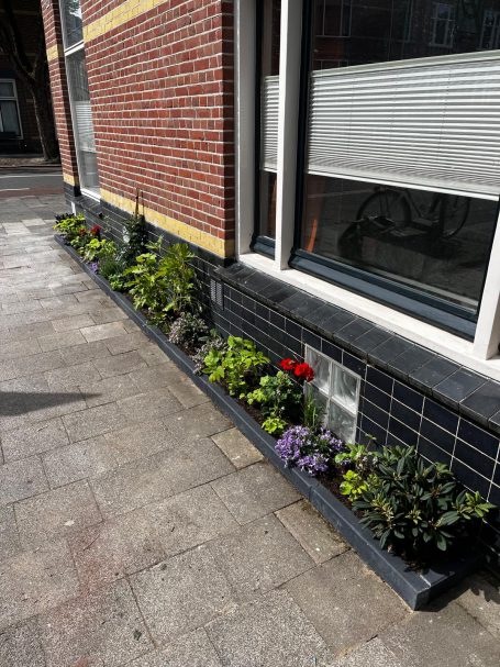 Geveltuin met sterke, onderhoudsarme beplanting; gevarieerde bladvorm en bloemkleur.
©A. Berkenveld
