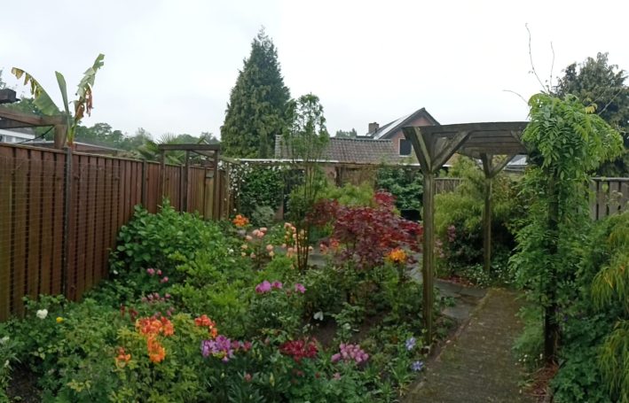 Onderhoudsarme achtertuin bij tussenwoning, deels inheemse planten en ecologische toepassingen. ©A. Berkenveld